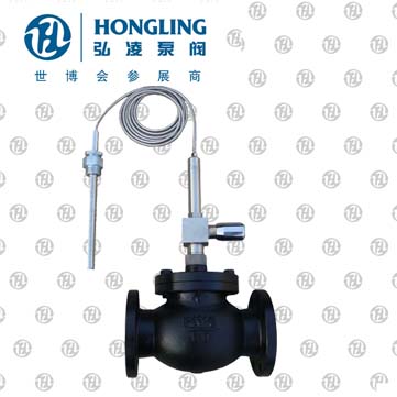 ����ʽ�ض��{���y