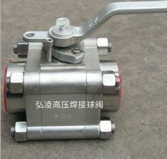 �߉��������y